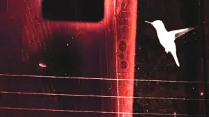 Задник до фильму"lessons on flight" #789098