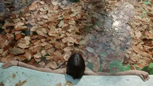 Задник до фильму"І твою маму теж" #698353