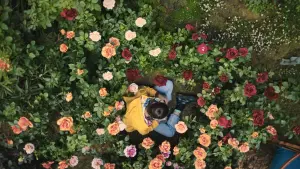 Задник до фильму"" #435521