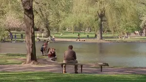 Задник до фильму"Розумник Вілл Хантінг" #579937