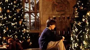 Задник до фильму"Гаррі Поттер і філософський камінь" #528237