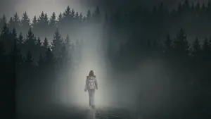 Задник до фильму"Дівчина в тумані" #263871