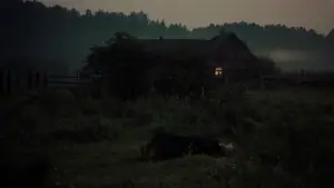 Задник до фильму"Дзеркало" #751475