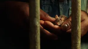 Задник до фильму"Зелена миля" #749190