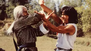 Задник до фильму"Безстрашна Гієна" #382336