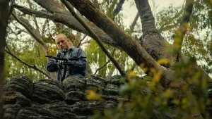 Задник до фильму"Верхівковий хижак" #568106