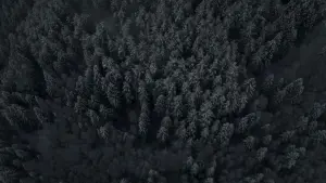 Задник до фильму"Час монстрів" #389687