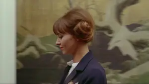 Задник до фильму"Pierrot le fou" #861751