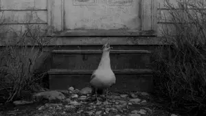 Задник до фильму"Маяк" #628638