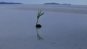 Задник до фильму"Тонка червона лінія" #650149