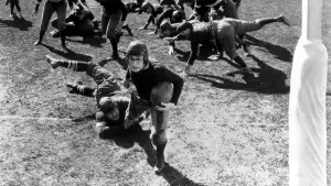 Задник до фильму"The Freshman" #768400