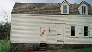 Задник до фильму"Таємничий ліс" #728831