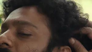 Задник до фильму"Плоди опунції" #803956