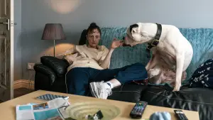 Задник до фильму"" #692818