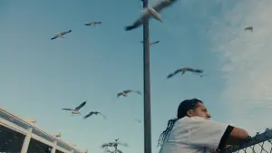 Задник до фильму"Шалені рахунки, або Дестіні, скажи, що я хороший" #776608