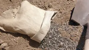 Задник до фильму"Скарб" #673759