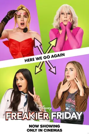 Постер до фильму"Ще одна шалена п