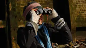 Задник до фильму"" #742240