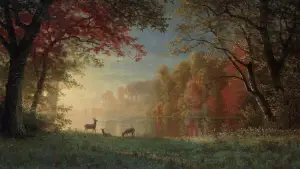 Задник до фильму"Гра в хованки" #641468