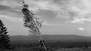 Задник до фильму"Дівоче джерело" #753460