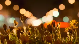 Задник до фильму"Адаптація." #671071