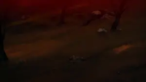 Задник до фильму"Ашюра" #396978