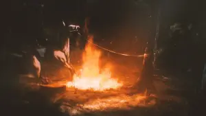 Відео до фільму Garrano | Official Trailer