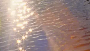 Задник до фильму"" #465139