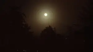 Задник до фильму"Іноді я думаю про смерть" #760502