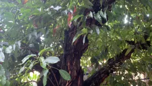 Задник до фильму"" #368599