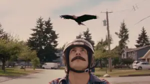 Задник до фильму"Род-каскадер" #663944