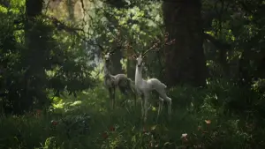 Задник до фильму"Анігіляція" #618582