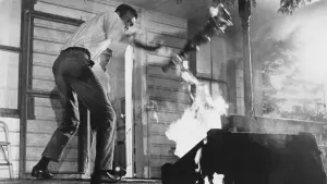 Задник до фильму"Ніч живих мерців" #204800