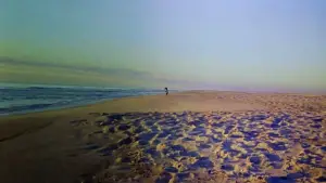 Задник до фильму"" #742962