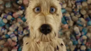 Задник до фильму"Острів собак" #606295