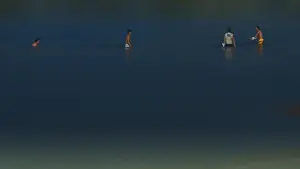 Задник до фильму"大湾区之肋" #776378