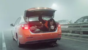 Задник до фильму"" #598379