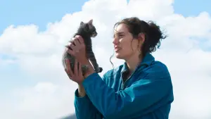 Задник до фильму"Пробач, дівчинко" #523420