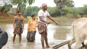 Задник до фильму"பைசன் காளமாடன்" #786355