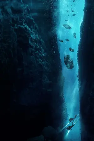 Постер до фильму"Занурення" #323425