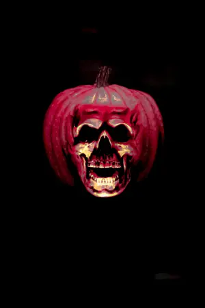 Постер до фильму"Гелловін 2" #280526