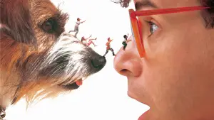 Задник до фильму"Люба, я зменшив дітей" #668528