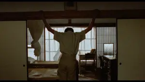 Задник до фильму"Яскравий літній день" #711900