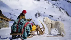 Задник до фильму"" #400906