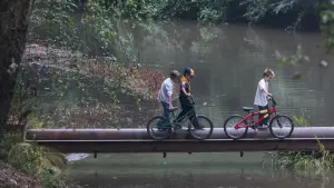 Задник до фильму"Вузол диявола" #301261