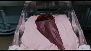 Задник до фильму"Порок на експорт" #221366