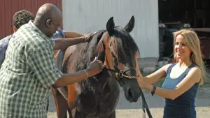 Задник до фильму"" #742515