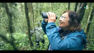 Задник до фильму"" #735904