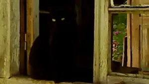 Задник до фильму"" #623393