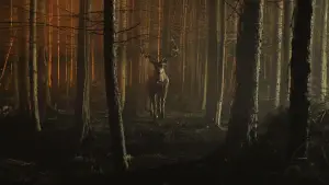 Задник до фильму"" #586443